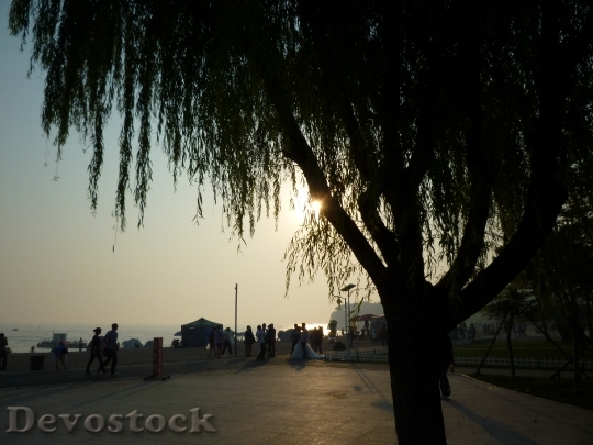 Devostock China Dalian Evening Sunset