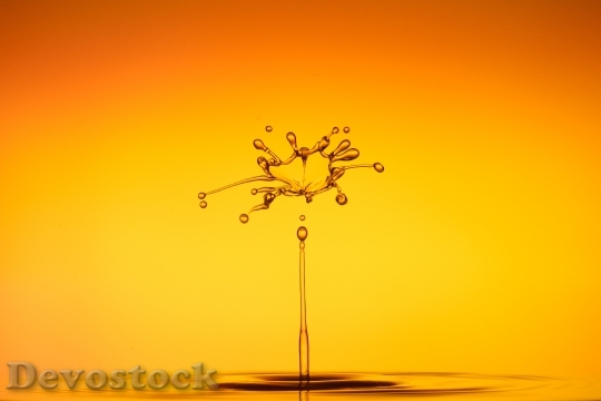 Devostock Drip Spray Water Liquid