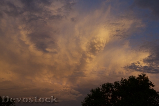 Devostock Evening Cloud Tree Sunset