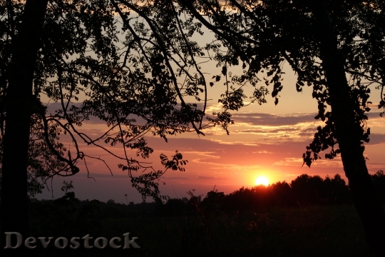 Devostock Evening Sunset Sky Sun