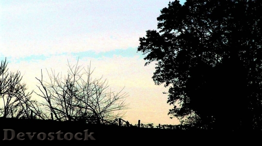 Devostock Fence At Sunset