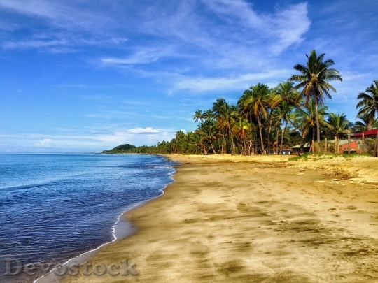 Devostock Fiji Beach Sand Palm Trees 56005.jpeg