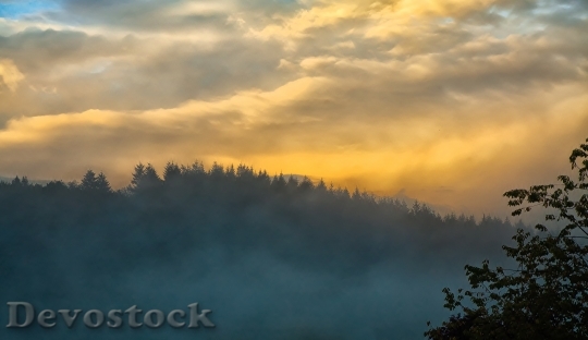 Devostock Fog Sunset Forest Sky