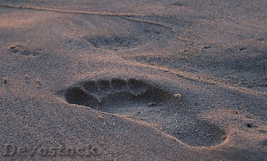 Devostock Footprint Footprint In Sand