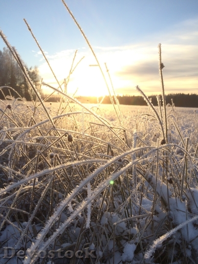 Devostock Frost Sunset Field Sunrise