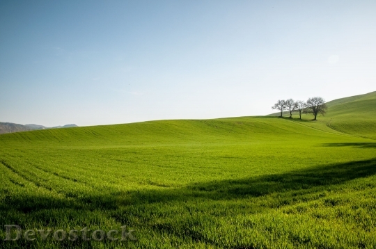 Devostock Hill Field Sky Green