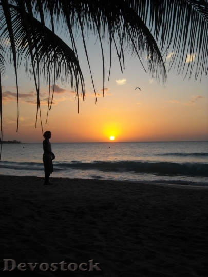 Devostock Jamaica Sunset Beach Island