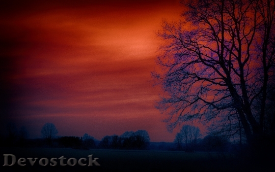 Devostock Landscape Dusk Sunset Sky