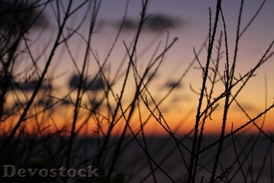 Devostock Landscape Nature Sunset 1133664