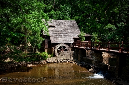 Devostock Mill House Alabama Landscape Forest 158034.jpeg