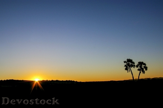 Devostock Namibia Africa Sunset Palm