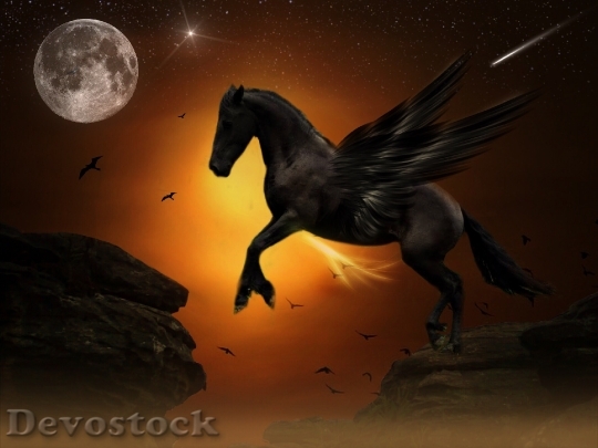 Devostock Pegasus Moon Jump Rock