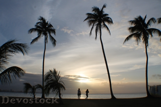 Devostock People Palms Sunset Tropical