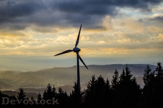 Devostock Pinwheel Black Forest Wind 3