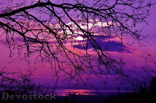 Devostock Purple Sunset Violet Sunset