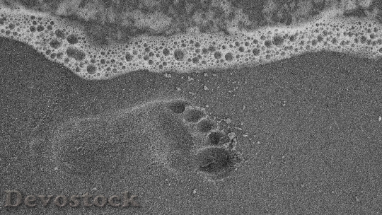 Devostock Sand Footprint Water Beach 50565.jpeg