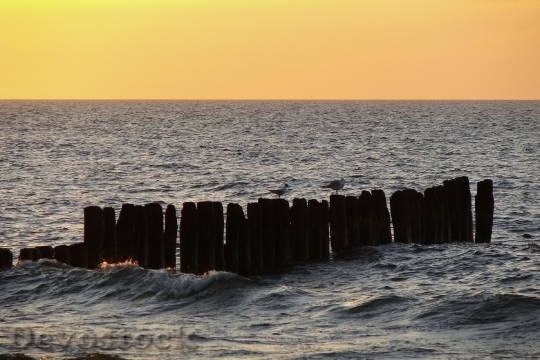 Devostock Sea Gulls Breakwater Sunset