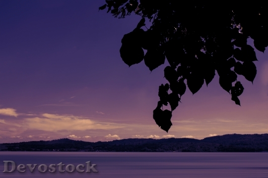 Devostock Sea Lake Water Sunset