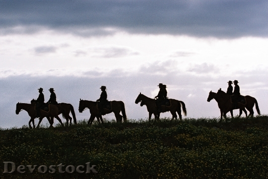 Devostock Silhouette Cowboys With Horses