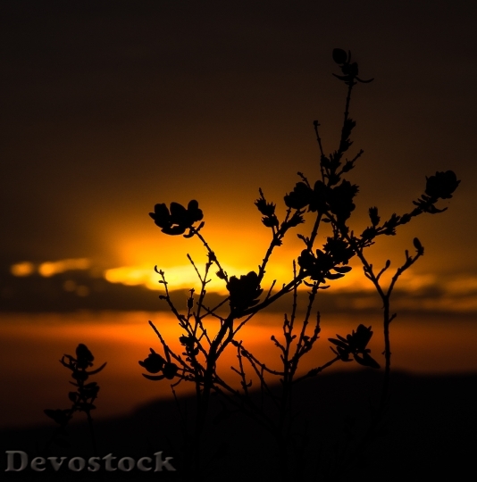 Devostock Sol Nature Landscape Dawn