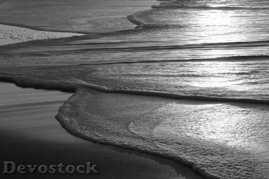 Devostock Sticks Beach Natural Barrier