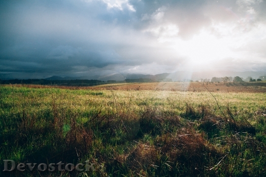 Devostock Sunlight Ray Grass Field