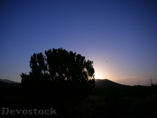 Devostock Sunset Backlight Nature 205820