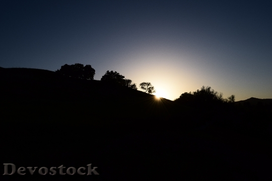 Devostock Sunset Backlight Silhouettes Trees