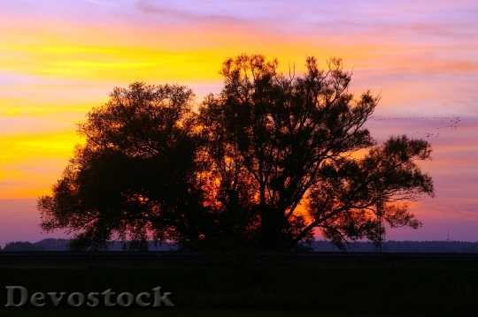 Devostock Sunset Evening Clouds Sky 2