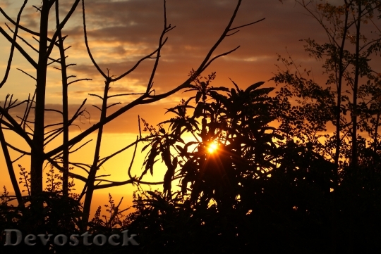 Devostock Sunset Evening Reunion Island