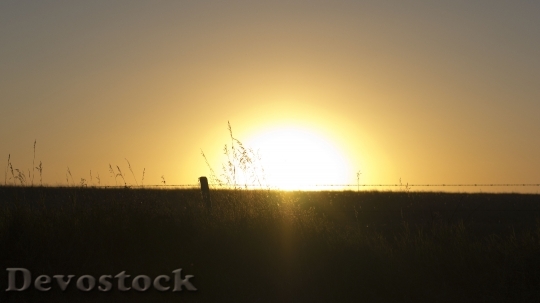 Devostock Sunset Fence Field Sun