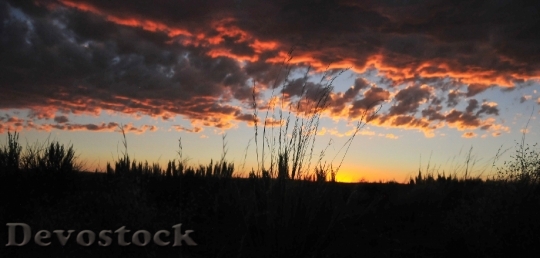 Devostock Sunset Grassland Sky Clouds