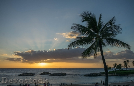 Devostock Sunset Hawaii Oahu 1034525
