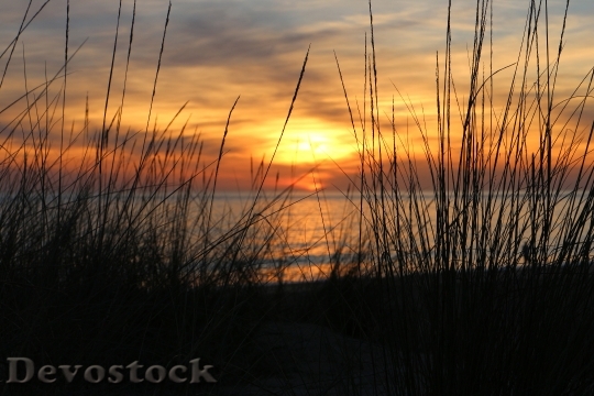 Devostock Sunset Juncos Sea Shore