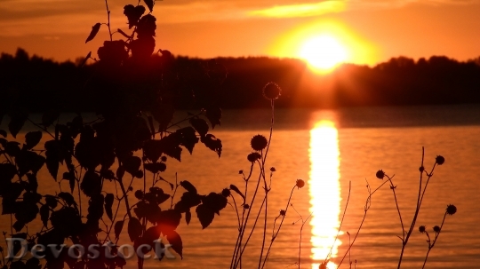 Devostock Sunset Lake Pond Evening