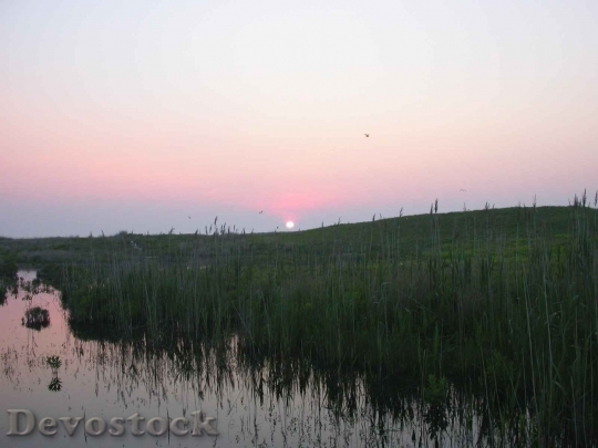 Devostock Sunset Over Marsh