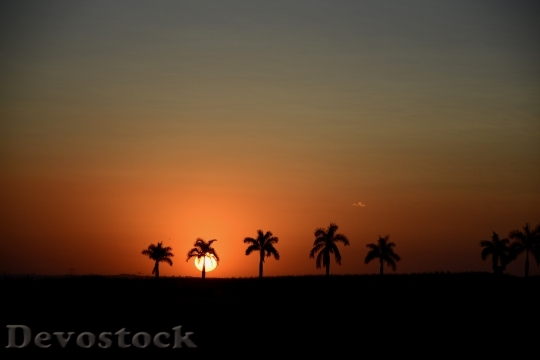 Devostock Sunset Silhouette Horizon Sol 2