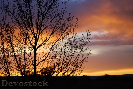 Devostock Sunset Sky Evening Claret