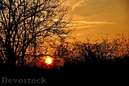 Devostock Sunset Summer Yellow Nature 0