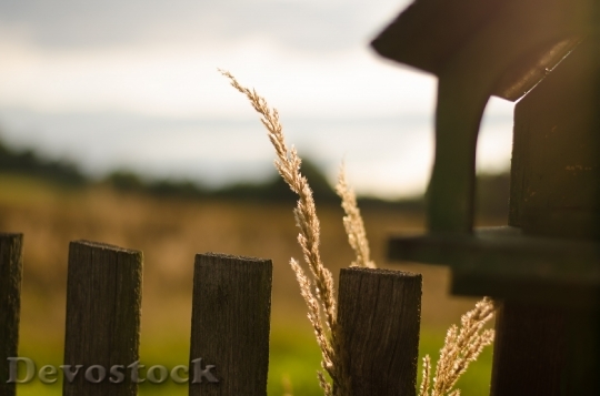 Devostock The Feeder Fence Grain