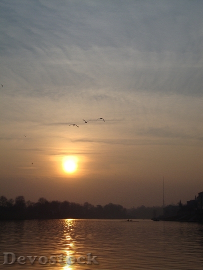Devostock Water Sunset Landscape Birds