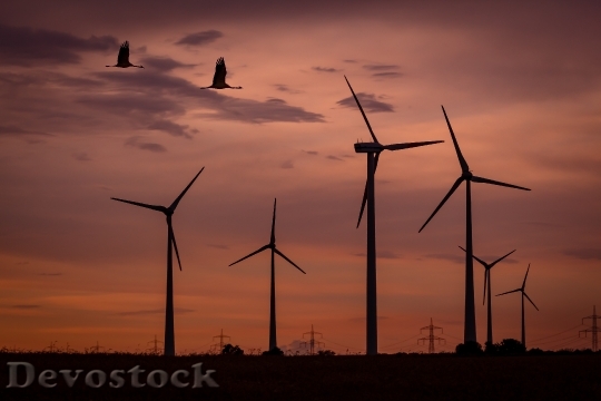 Devostock Wind Park Sunset Birds