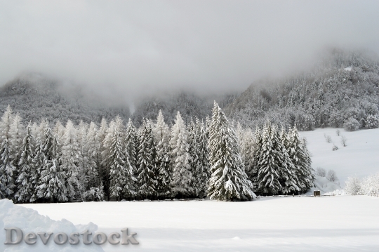 Devostock Winter Scene Mountain Wonderland 11