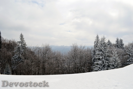 Devostock Winter Scene Mountain Wonderland 15