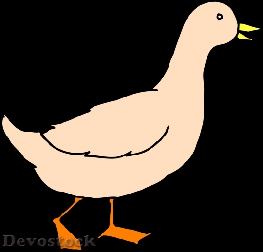 Devostock Duck  (309)