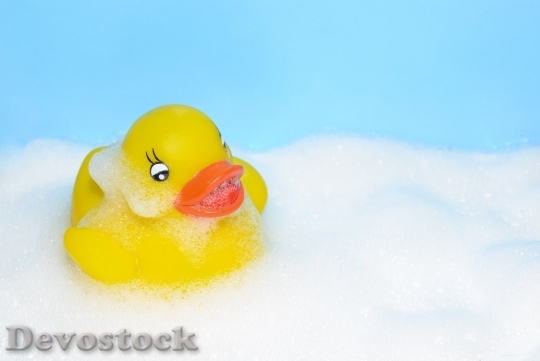 Devostock Duck  (340)