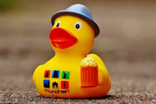Devostock Duck  (492)
