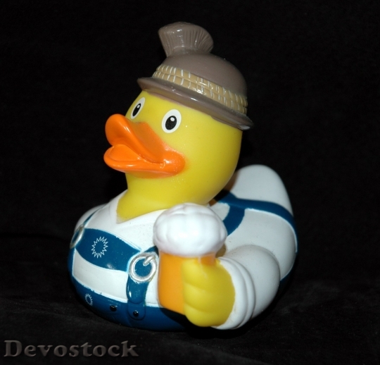 Devostock Duck  (72)