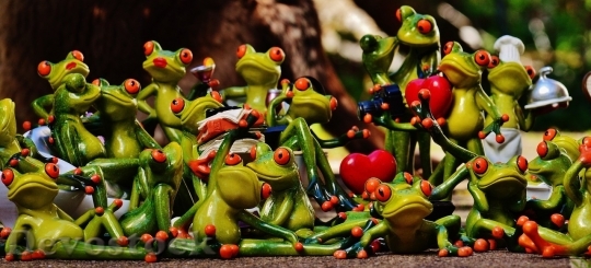 Devostock Family of frogs