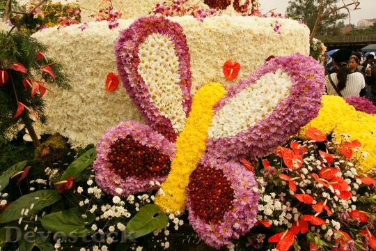 Devostock flowerfestival-dsc02271